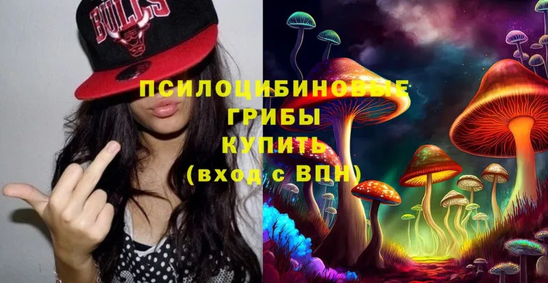 как найти закладки  Серов  Псилоцибиновые грибы Magic Shrooms 